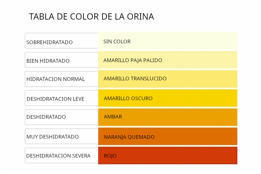 Tabla color orina mostrando niveles hidratación de bien hidratado a deshidratado