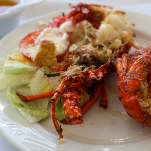 Demi-homards parfaitement grillés avec carapace rouge vive, chair dorée aux herbes et garniture de persil frais sur plat de service blanc
